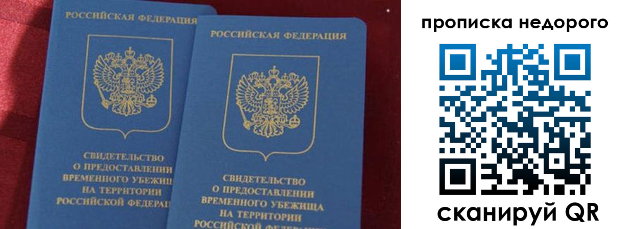 прописка гарантия в Геленджике